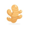 Simple and cute cartoon ginger root illustration on a plain background Royalty Free Stock Photo