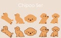 Simple and cute Chihuahua Poodle Mix puppy illustrations set