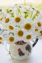 Simple cute daisy bouqet summer day bright