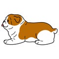 Simple and cute illustration of Bulldog lying down outlined