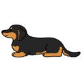 Simple and cute illustration of dark colored Miniature Dachshund lying down