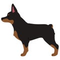 Simple and cute illustration of Doberman Pinscher in side view flat colored