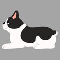 Simple and cute illustration of French Bulldog lying down flat colored