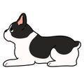 Simple and cute illustration of French Bulldog lying down