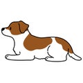 Simple and cute illustration of Jack Russell Terrier lying down Royalty Free Stock Photo