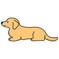 Simple and cute illustration of Miniature Dachshund lying down