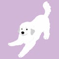 Simple and cute playful white Great Pyrenees illustration flat colored
