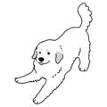 Simple and cute playful white Great Pyrenees illustration