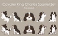 Simple and cute Tricolored Cavalier King Charles Spaniel illustrations set