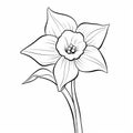 Simple Daffodil Flower Coloring Page For Kids