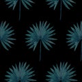 Simple dark seamless pattern with watercolor palm leaves on black. Texture with tropical leaf repeat Royalty Free Stock Photo