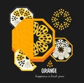 Simple decorative orange fruit illustration. Vector food art print in geometric style. Royalty Free Stock Photo