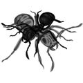 Simple design of illustration ants black