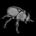Simple design of insect beetle