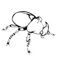 Simple design of insect beetle