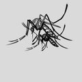 Simple design of illustration mosquito