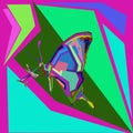 Simple design of wpap or pop art butterfly