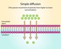 Passive Transport. Simple diffusion and Facilitated Diffusion through a specific or non specific transporter. vector design.