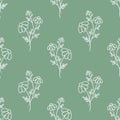 Seamless pattern with hand drawn daisies on pastel green background, simple digital botanical illustration