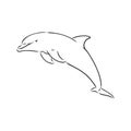 simple dolphin silhouette. dolphin, vector sketch on a white background