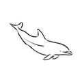 simple dolphin silhouette. dolphin, vector sketch on a white background
