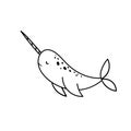 Simple doodle drawings with narwhal. Vector illustration with arctic whale isolated on white background