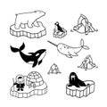 Simple doodle drawings about polar inhabitants - eskimo, bear, narwhal, killer whale, puffin and walrus. Vector illustrations of