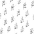 Simple doodle illustrations wallpaper flowers, Plants, leaves. Black and white square pattern. Minimalistic background with Plants Royalty Free Stock Photo