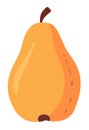 Simple doodle pear fruit on white. Vector Illustration