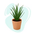 Simple drawing, indoor plant aloe Vera in a brown clay pot. Against the background of abstract blue oval shapes.