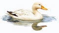 Simple Duck Clip Art With White Margins - Jomi Jones