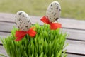 Simple Easter decoration with mottled eggs and wheat grass