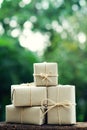 Simple eco friendly gift boxes package wrap with brown paper, green present concept, copy space Royalty Free Stock Photo