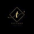 Simple Elegance Initial Letter T Logo Type Design