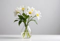 White Daisies in a Glass Vase on a White Tabletop