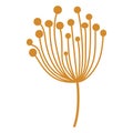 Simple elegant dandelion illustration