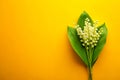 Lily of the valley flower on bright yellow paper background. Beautiful spring composition in minimal style. Top view, flat lay, Royalty Free Stock Photo