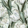 Simple and Elegant Image of White Tulips and Long Green Leaves on White Background