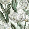 Simple and Elegant Image of White Tulips and Long Green Leaves on White Background