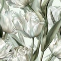Simple and Elegant Image of White Tulips and Long Green Leaves on White Background