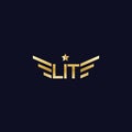 Elite logo design, wordmark luxury sign