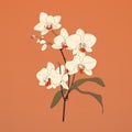 Simple And Elegant Orchid Illustration On Orange Background