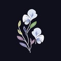 Simple And Elegant Sweet Pea Logo On Dark Background Royalty Free Stock Photo