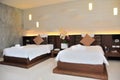 Simple and elegent luxury room