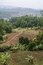 Simple farm with fields and forest in highlands along Bamenda Ring Road, Cameroon, West Africa