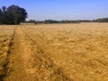 Simple field after harvest, Poland Royalty Free Stock Photo