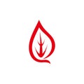 simple flame match red simple logo vector Royalty Free Stock Photo