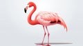 Simple Flamingo Clip Art With White Margins And Easy Cropping