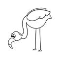 Simple flamingo, outline vector. The cartoon flamingo tilted its neck