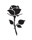 simple flat black rose hand drawn romance flower icon ill Royalty Free Stock Photo